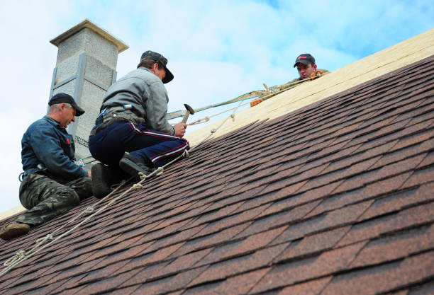 Best Gutter Installation and Roofing  in Booneville, AR